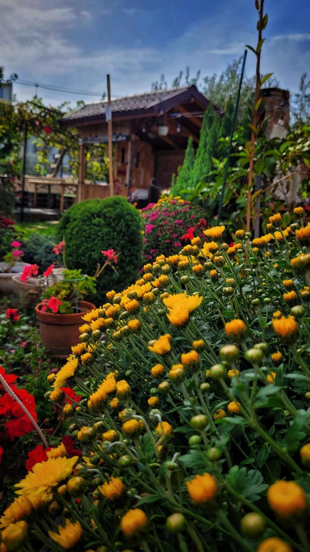 Casa Alba Hotel Năvodari Szoba fotó