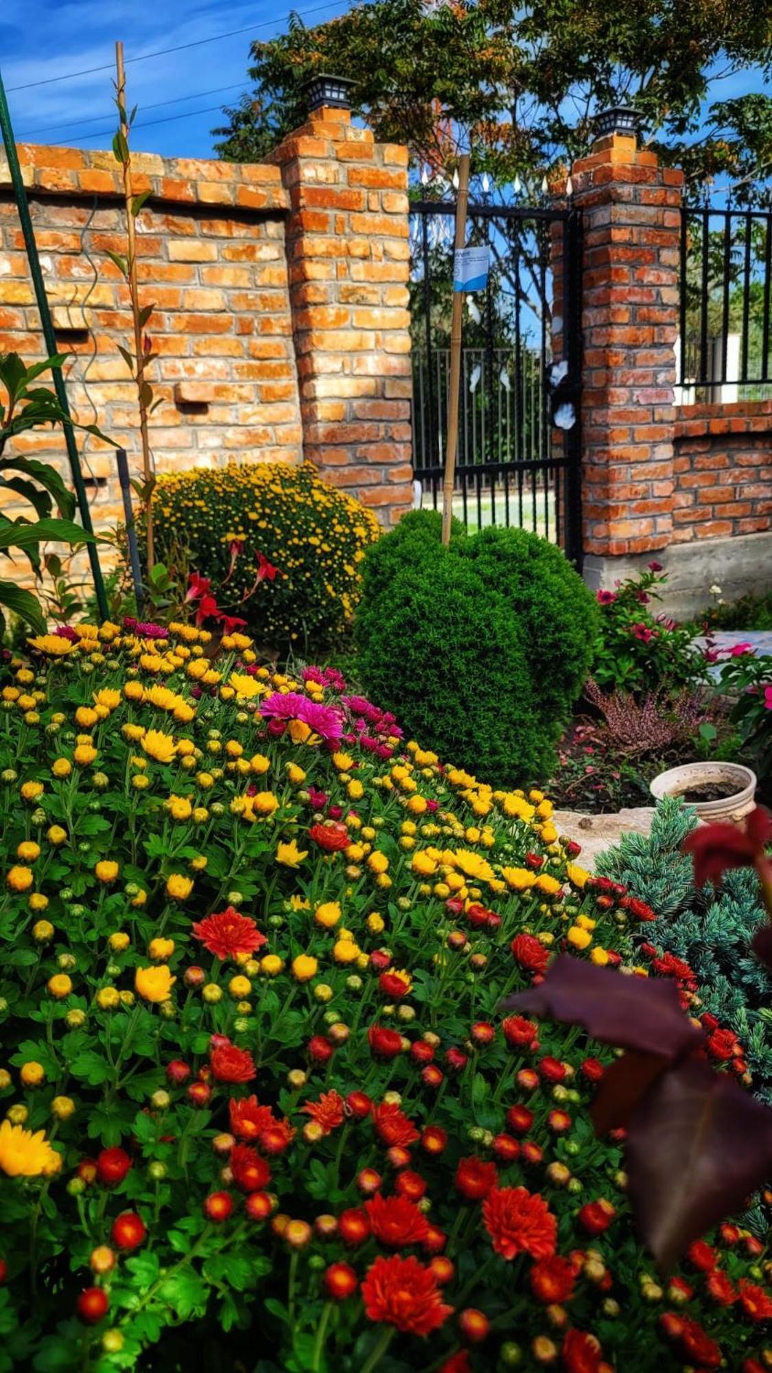 Casa Alba Hotel Năvodari Kültér fotó